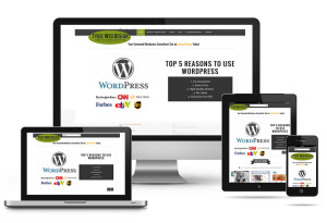 We Recommends Responsive Web Design